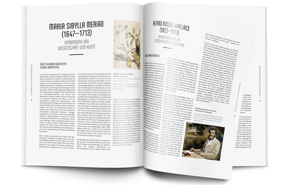 GRAFIK EDITORIAL 02 tiny